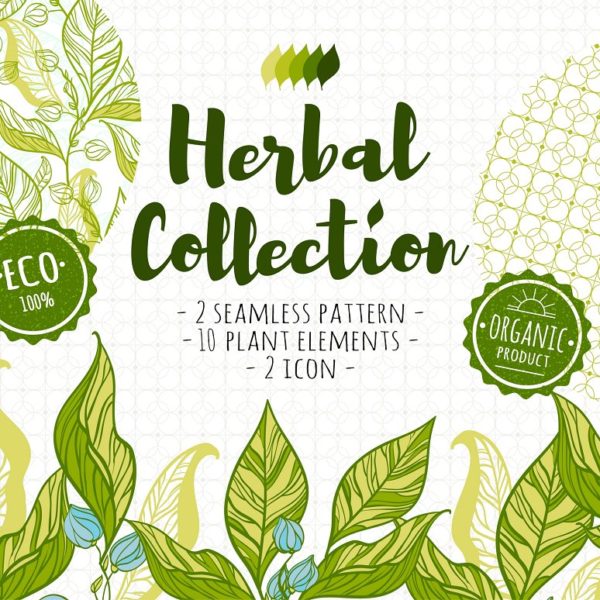 pr-herbal-collection-01-