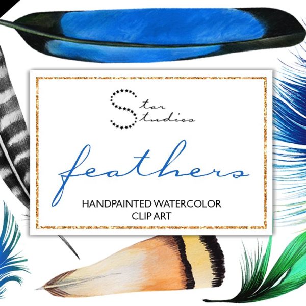 feathers_blue_sitepreview_72dpi-