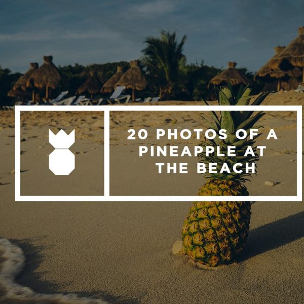 pineapple-photos-at-the-beach-