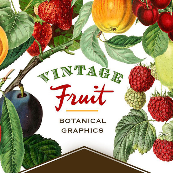 botanical-fruit-first-image